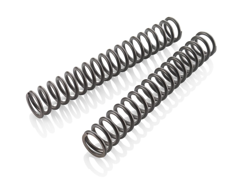 Fork spring set 