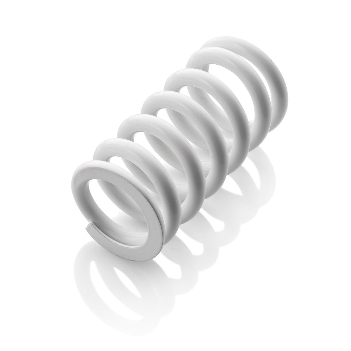 [91310067S] Shock absorber spring 